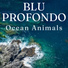 Ocean Animals