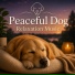 Dog Sleep Lab