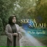 Mida Syarita