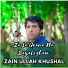 Zain Ullah Khushal