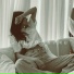 Anka More feat. Lerka Mellis