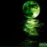 Panum8