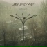 Ara Kelly One