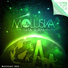 Moluska