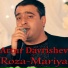 Artur Davrishev