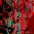Bloody Mercury
