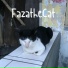fazathecat