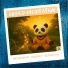 Medi Panda