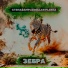 Степа$ampl, Dollar Playaz