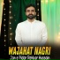 Wajahat Nagri