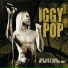 iggi pop