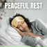 The Sleepy Sounds
