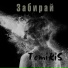 TemiRiS