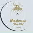 Msolnusic