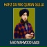 Saad Mahmood Saadi