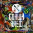 Сонши Алеф