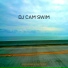 DJ Cam
