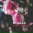 HAAB
