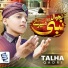 Talha Qadri