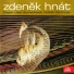 Zdeněk Hnát