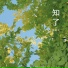 陈默之
