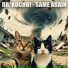 DR. KUCHO!