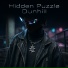 Hidden Puzzle