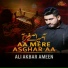 Ali Akbar Ameen
