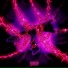 TRETYAKOV feat. sophisticate666