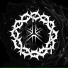 ThornSectIDE