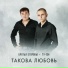 Братья Егоровы, ТУ-134