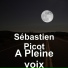 Sébastien Picot