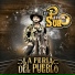 El patron del sur