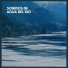 Sonidos De La Selva