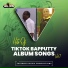 Tiktok Bapputty