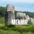 Steini