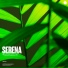 Seneca B