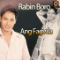 Rabin Boro