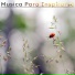 Relajacion