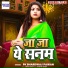 PK Bhardwaj Pawan