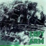 Left Arm