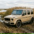 den barbaev, wladick mamedow