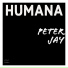 Peter Jay