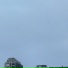 Wikkeo