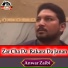 Anwar ZaibiAnwar Zaibi