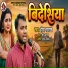 Heera Sargam