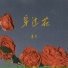 善宇