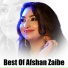 Afshan Zaibe