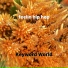 Keyword World