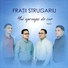 Fratii Strugariu